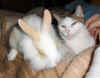 Susi und Momo.jpg (66413 Byte)
