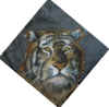 Tigertuch 90 x 90 cm 50 Euro (30895 Byte)